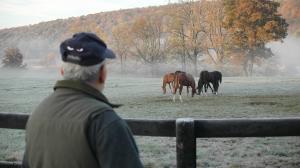 Frank Stella, Artist, Scuptor, Owner, Breeder, Delehanty Stock Farm, Martin Francis